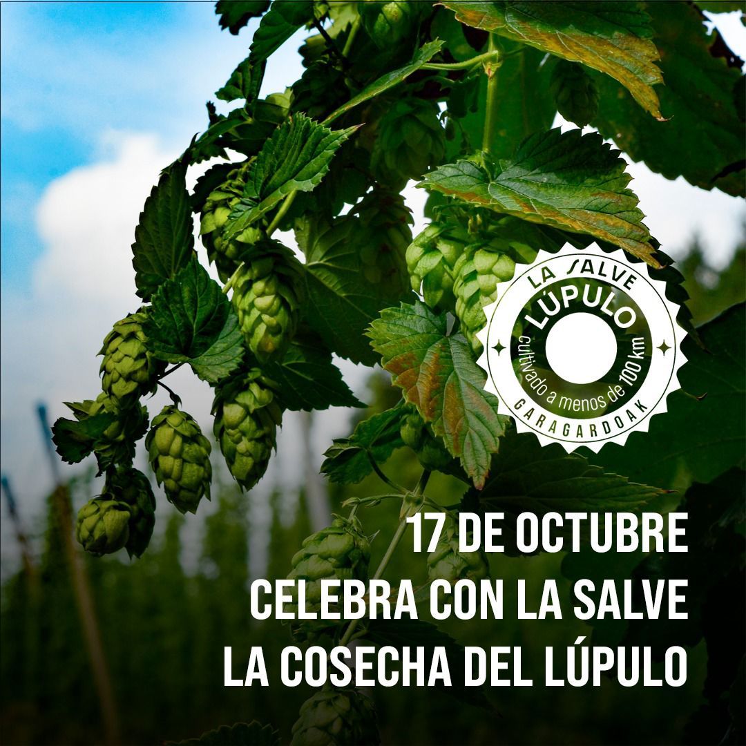 LA SALVE honra la tradición celebrando la cosecha del Lúpulo el 17 de Octubre